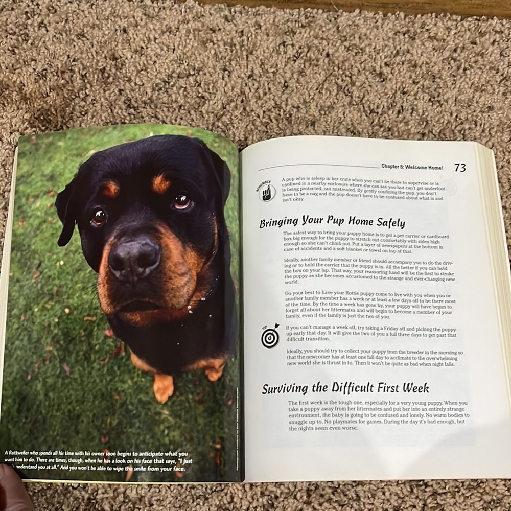 ✨ Host Pick✨ 2 Rottweiler books. - Picture 12 of 13